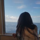 양지LPG충전소 | 울릉도 프리다이빙 투어 후기 1일차 - (1) 울릉도 배편 예약, 강릉항 가는 법, 씨스포빌 후기