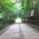 평화공원 쪽 이미지