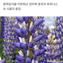 제랄다와 거인 | 문래도서관 전시 : 한 땀 한 땀 그림책으로 60의 시작展_인형작가 남정희의 그림책 인형전시 후기