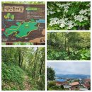 5/29- 봉성산 둘레길, 칠게, 팥죽, 대통령 선거 사전 투표 이미지