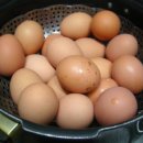 계란, 하루에 몇 개 먹어야 좋을까? 이미지