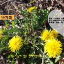 산본이마트 앞