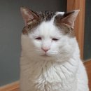 야키토리 잔잔 방이직영점 이미지