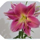 주민치과의원 이미지