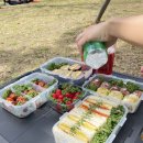 전포천 | 부산 시민공원 피크닉 명당 &amp; 꽃축제 실시간 후기🌸 타마고산도 도시락 메뉴 추천 (주차/준비물 꿀팁)