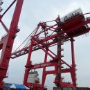 포항축산업협동조합 이미지