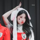 CW-1333-01 이미지