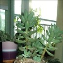 청성슈퍼 이미지