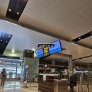 베이스볼파크 | 2024년 강원도 횡성베이스볼테마파크 KBO티볼캠프 참가 후기