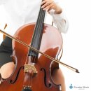 첼로 1:1 맞춤레슨 이미지