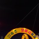 2019 속초 양미리 축제에 가다 이미지