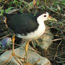 늘 좋은생각 이미지