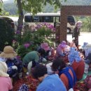 백송농장 이미지