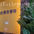 비바 휘트니스 이미지