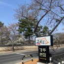 교리김밥보문점