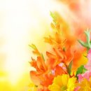 우리 늘 이미지