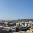 아지나라 이미지