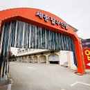 필무인텔 이미지