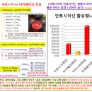 아로니아 vs 마키베리의 진실 이미지