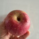 풍운농장 이미지