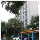 아람비디오 이미지