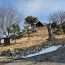 갯벌소리 이미지