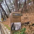 (주)엠에스양산상휴게소 | 경남 양산 통도사 홍매화 우담바라 위치 후기_26.03.01 방문