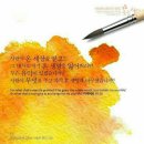 보배로움 네이버블로그