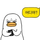 루트버거 이미지