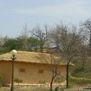 태양농장 이미지