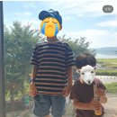 한강 자전거도로9 | 남양주 삼패한강공원 주말 아이와 가볼만한곳 수레국화 자전거 인라인 벼룩시장 총정리