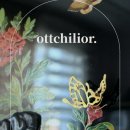 옻칠리어(Ottchilior) 이미지