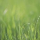 슬로우스텝 | 본식DVD 슬로우스텝 계약 후기 | 가성비·플래너추천·견적공유 [결혼준비 EP.07]