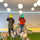 멍더캐슬 이미지