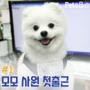 (주)펫앤바이오 이미지