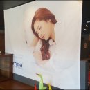 수메이트 이미지