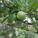 순희네농장 이미지