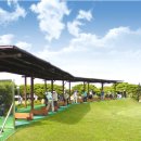 윤스골프 이미지