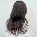 경기도 수원시 권선구 덕영대로1201번길 22 | 수원터미널 근처, 스타일 변신을 꿈꾸는 당신에게: 권선동미용실 추천