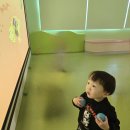 금정아이숲 들락날락