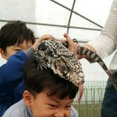 양지촌네스트