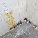 너더리감자탕 이미지