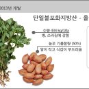 고창 이엠 이미지