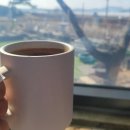 햇살농원 애견 이미지