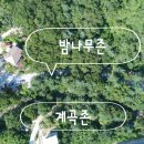 호명산캠프 네이버블로그