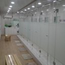 에이스 휘트니스 이미지