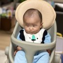 버블아이식판 이미지