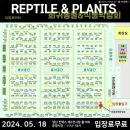레오마켓 이미지