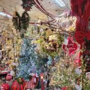 12/6 크리스마스 생화 트리 이미지