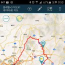고고씽 Daum카페